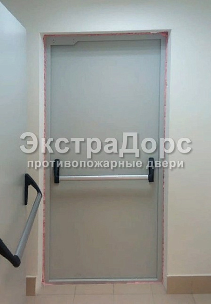 Огнеупорная глухая дверь для ТЦ