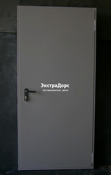 Дверь металлическая противопожарная EI 60 ДПМ 2 типа серая в Дубне  купить