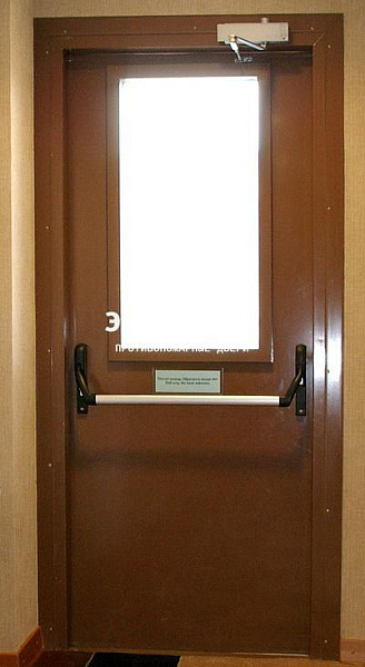 Противопожарная дверь EI 30 с антипаникой и стеклом в Дубне  купить